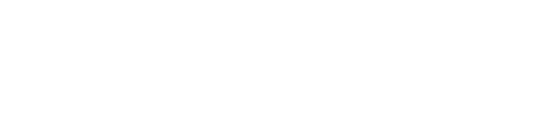 Logo Leadster